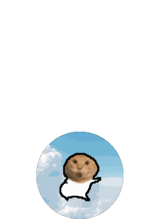meme backflip